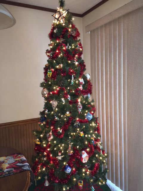 Tree